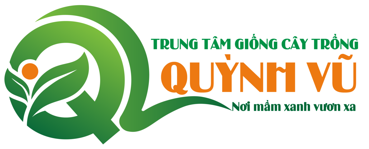 Trung tâm giống cây trồng Quỳnh Vũ